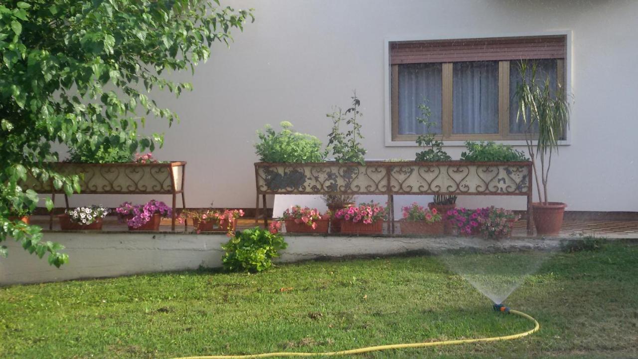 Hotel Le Vigne Contigliano Extérieur photo